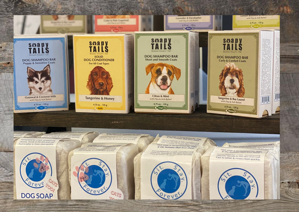 It's All Woofs and Hooves at New Maryland Pet Boutique